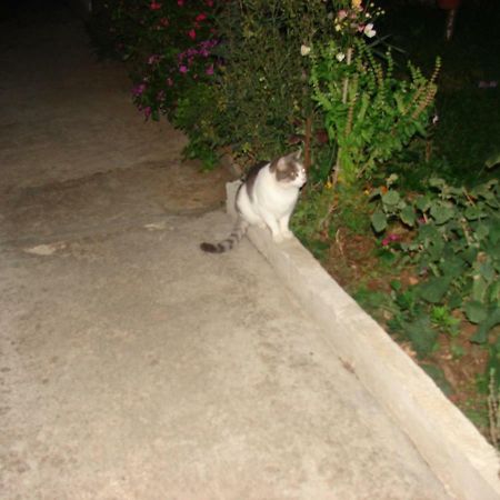 Filip 2 Hotel Biograd Na Moru Luaran gambar