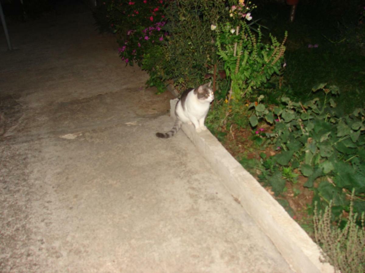 Filip 2 Hotel Biograd Na Moru Luaran gambar
